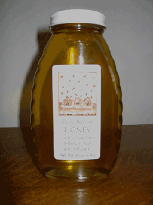 16oz Plain Honey Jar